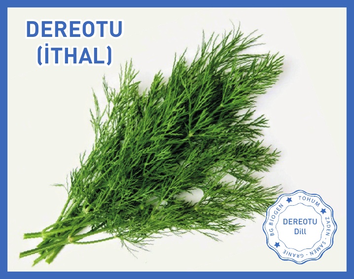 DEREOTU- İTHAL