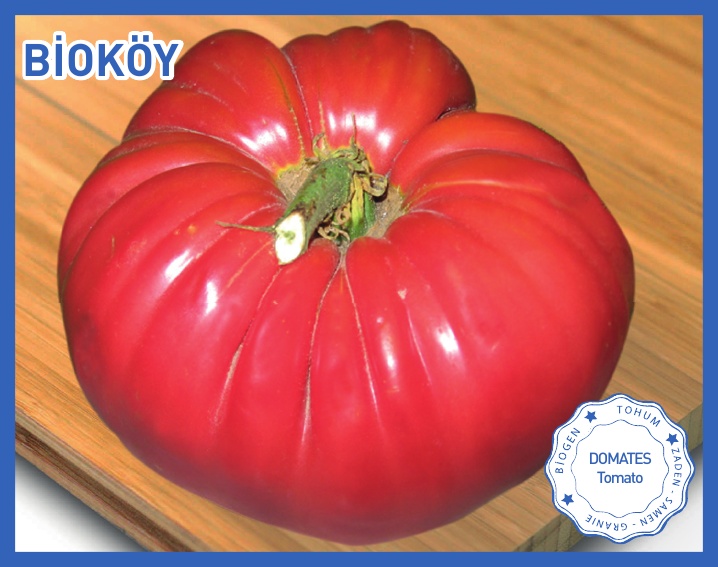 BİOKÖY