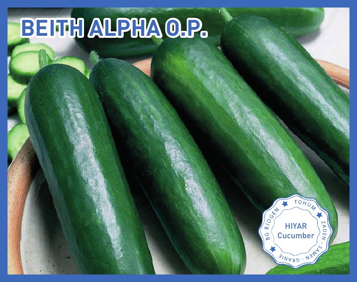 BEITH ALPHA OP