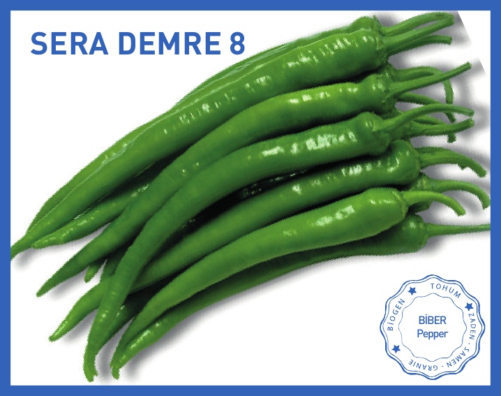 SERA DEMRE 8