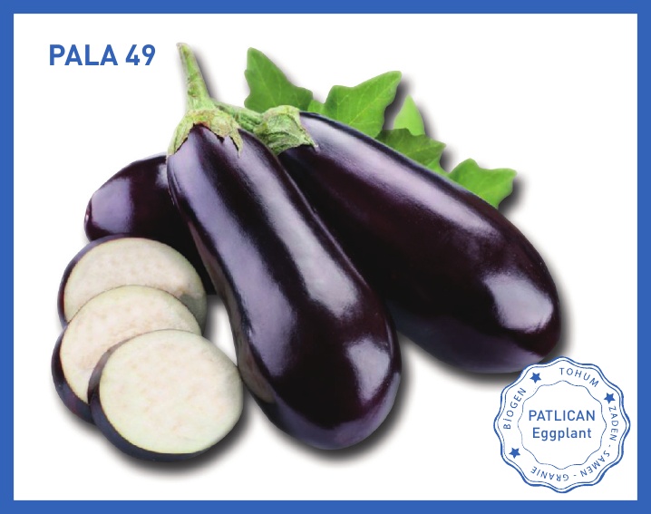 PALA 49