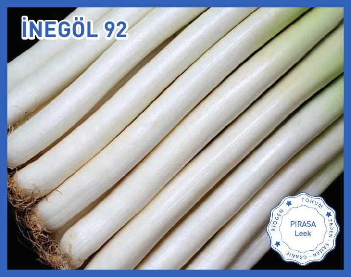 İNEGÖL 92