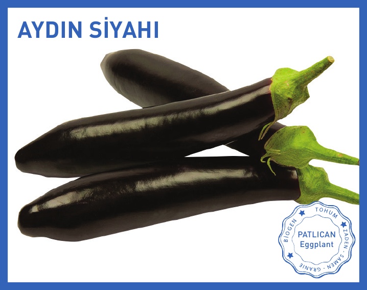 AYDIN SİYAHI